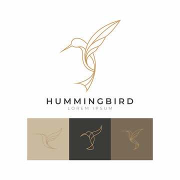Collection of Hummingbird icon logo vector with modern luxury line gold color concept.