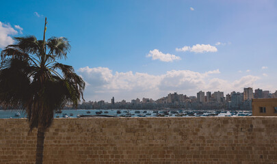 Panoramic View to the City of Alexandria with Citadel, Mediterranean Sea Embankment, Road, Streets...