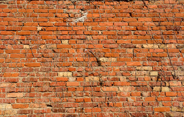 Old red brick wall textured background 