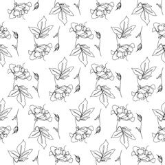 Fototapeta na wymiar Monochrome seamless pattern with rose flowers line drawings. Endless floral background.