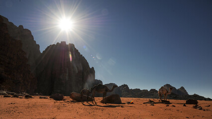 Wadi rum Jordan a beautiful land with red sand