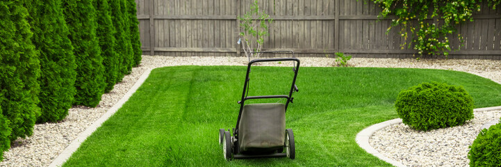 Lawn mower cutting green grass in backyard, mowing lawn