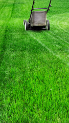 Lawn mower cutting green grass in backyard, mowing lawn
