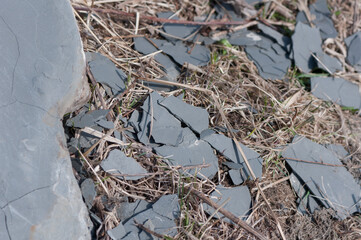 broken slate rock on old dried grass