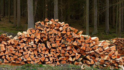 Brennholz sicher lagern - Energiekrise