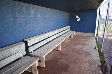 Benches in a Baseball Dugout - obrazy, fototapety, plakaty