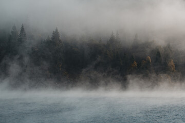 Cold summer morning in the forest with steamy lake, forest reflection and mist on the water surface. Dramatic view during a beautiful foggy morning with trees almost covered in fog - Powered by Adobe