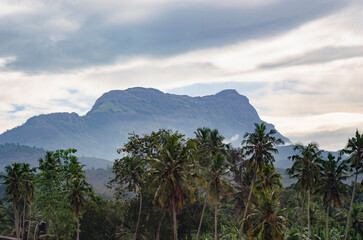 Fototapeta na wymiar Early morning view of Alagalla mountain range from Pinnawala Elephant Orphanage in Sri Lanka.