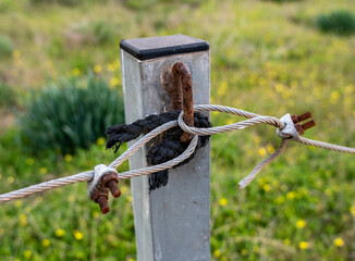 A metal cable is threaded into a ring on a pole dug into the ground to enclose the territory.