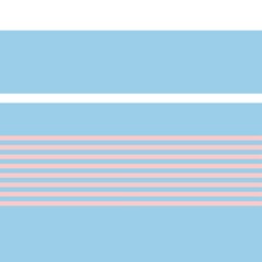 Obraz premium Pastel Double Striped seamless pattern design