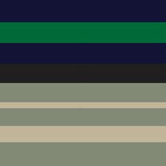 Fototapeta premium Green Double Striped seamless pattern design