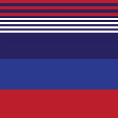 Fototapeta premium Red Double Striped seamless pattern design