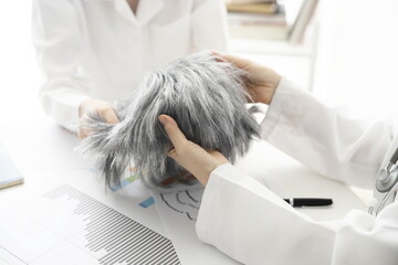 Doctor and patient discussing with wig