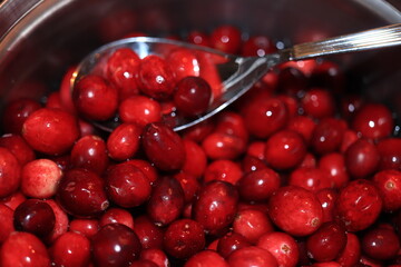 Homemade cranberry sauce