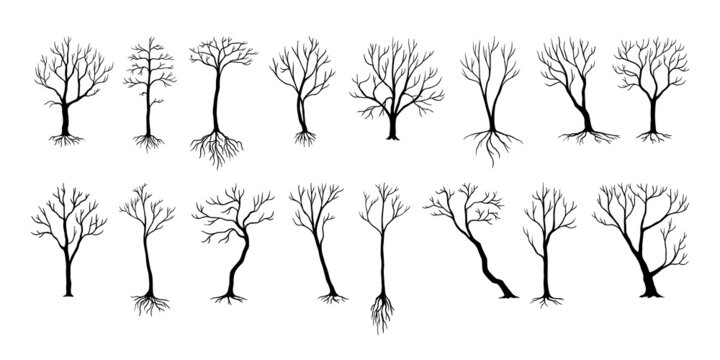 Naked trees silhouettes. Black bushes and trucks with bare branches. Winter or autumn plants with roots. Cold season nature. Dead birch or oak stems. Vector dry woodland elements set