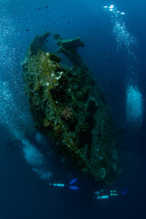 Fototapeta na wymiar The famous Liberty ship wreck. Underwater life of Tulamben, Bali, Indonesia.