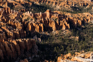 the grand canyon