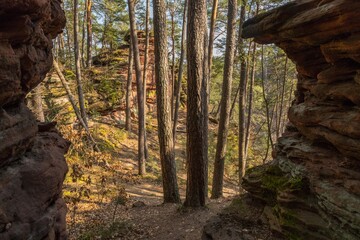 Felsen im Wald von Dahn