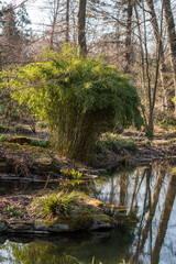 Landscape seasonal sunny scenery. Beautiful countryside view. Forest pathway.