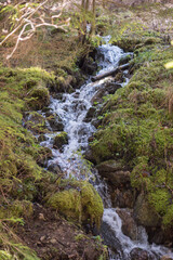 Landscape seasonal sunny scenery. Beautiful countryside view. Forest pathway.