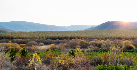 The Inner Mongolia prairie in early autumn day