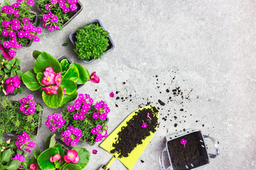 Garden tools and spring flowers on a stone table
