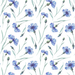 Watercolor conflowers. Seamless puttern. Hand-painted