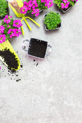 Garden tools, soil and flowers on a gray stone table