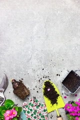 Garden tools, seeds and flowers on a gray stone table