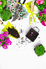 Garden tools and flowers on a white table