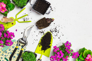 Garden tools and spring flowers on a white table