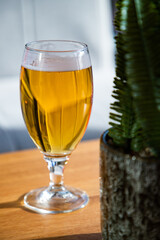 glass of beer on a sunny table