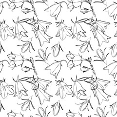 A set of seamless backgrounds with leaves, flowers and flower bud. Line drawing. Lines have different widths. Black white. Bellflower, vector grafic