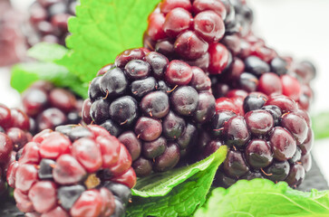 Closeup of a set of blackberries with mint, fresh and ripe forest fruits