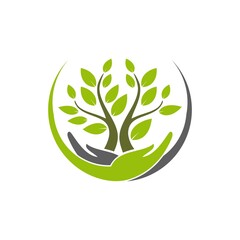 environmentally friendly 