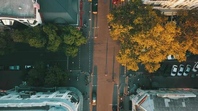 ukraine, odessa, city, quadcopter, people, summer, sky, fli