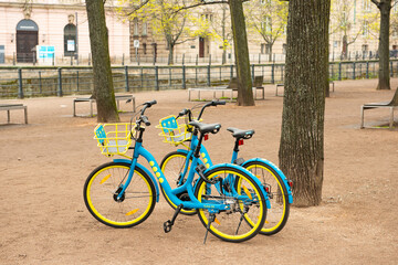 Fototapeta premium yellow-blue bicycles in Holland