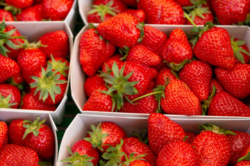 strawberries are sold in the store