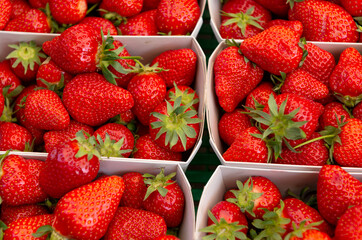 strawberries are sold in the store