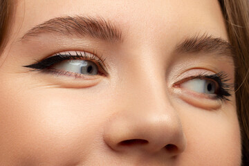 Obraz premium Beautiful macro shot of female eye with classic smoky makeup. Perfect shape of eyebrows, brown eyeshadows and long eyelashes.Closeup macro shot of fashion smoky eyes visage. Before and after