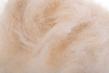 wool isolated