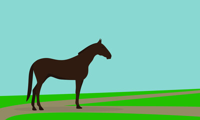 Brown horse stands in the field