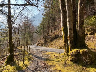 Trails for walking, hiking, sports and recreation around the Klöntalersee reservoir lake (or Kloentalersee) and on the slopes of the Klöntal alpine valley - Canton of Glarus, Switzerland (Schweiz)