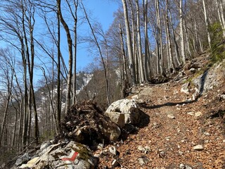 Trails for walking, hiking, sports and recreation around the Klöntalersee reservoir lake (or Kloentalersee) and on the slopes of the Klöntal alpine valley - Canton of Glarus, Switzerland (Schweiz)