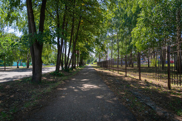 Street with trees in a green city.