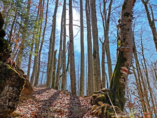 Mountaineering signposts and markings around the Klöntalersee reservoir lake (or Kloentalersee) and on the slopes of the Klöntal alpine valley (or Kloental) - Canton of Glarus, Switzerland (Schweiz)