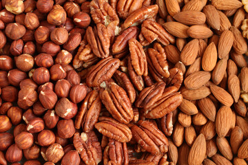 Raw peeled hazelnuts, pecans, almonds on a linen cloth. Closeup. Macro