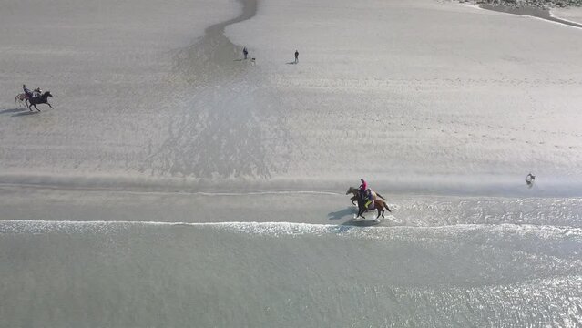 chevaux qui marche sur la plage avec des vagues calme