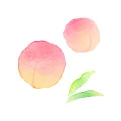 桃　水彩画
