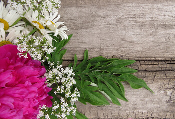 Art flower background . Beautiful photo peony flower on a wooden background. Place for text.